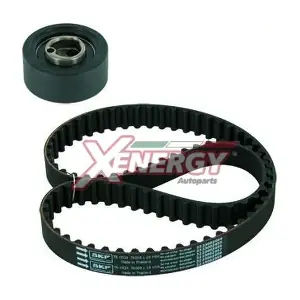 XD20296 AP XENERGY