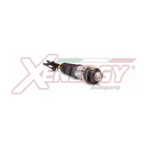 XPAS1628 AP XENERGY