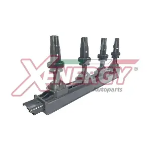 XE-8079 AP XENERGY
