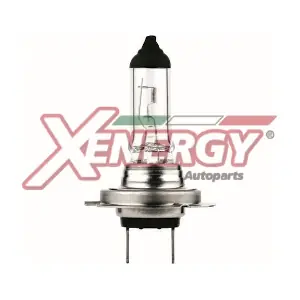 AP XENERGY XE6013