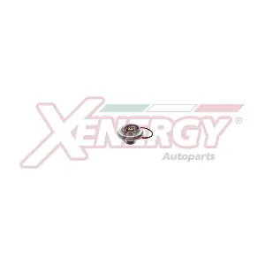 AP XENERGY XT5111.88
