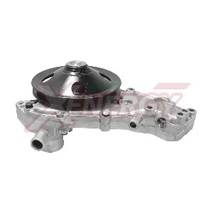 AP XENERGY X202482