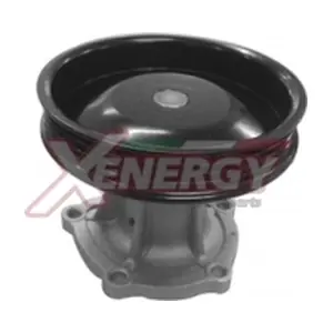 X208056 AP XENERGY