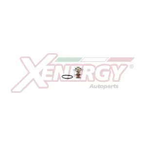 XT6295.88 AP XENERGY