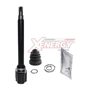 XG010602 AP XENERGY