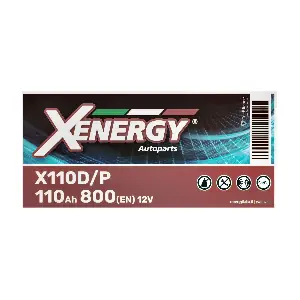 AP XENERGY X110D/P