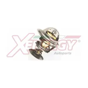 XT1542 AP XENERGY