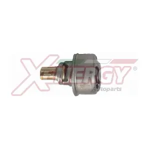 AP XENERGY XT4495.86