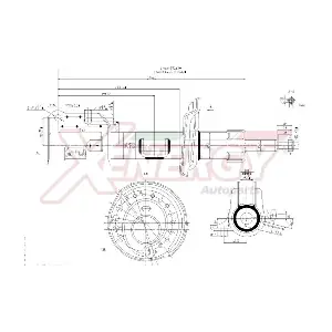 X905006 AP XENERGY