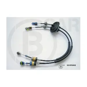 B CAR 001PG002