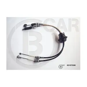 2444G7 FIAT