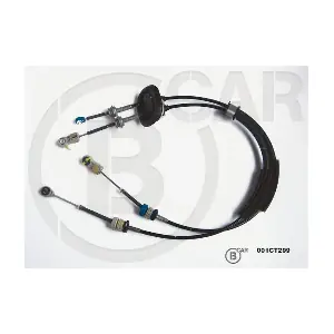 B CAR 001CT299