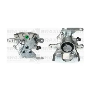 AG3010 BRAXIS