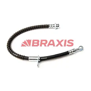 AH0319 BRAXIS