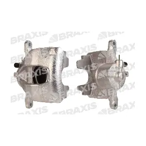 AG1301 BRAXIS