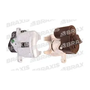 AG1356 BRAXIS