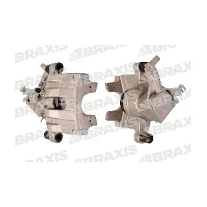 BRAXIS AG1308