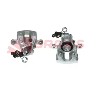 BRAXIS AG1910