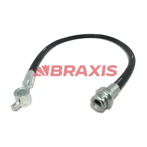 AH0556 BRAXIS