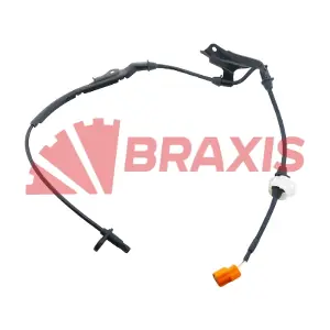 AK0013 BRAXIS