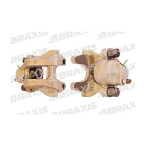 AG1312 BRAXIS
