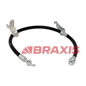 AH0595 BRAXIS