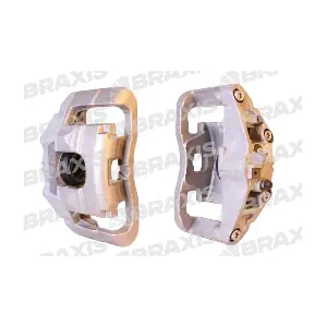AG1310 BRAXIS