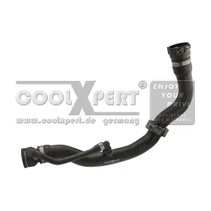 17123401562 BMW