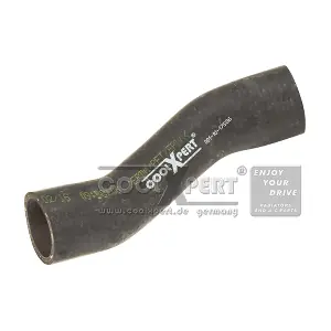 17127515500 BMW
