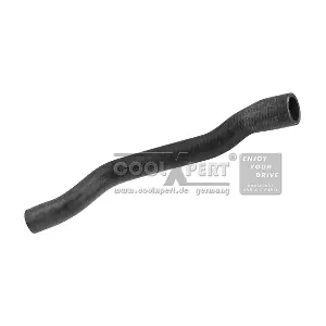 64211394295 BMW