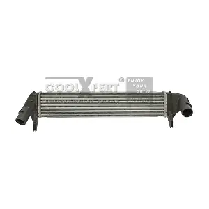 8200409045 RENAULT
