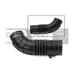 19910 RAPRO