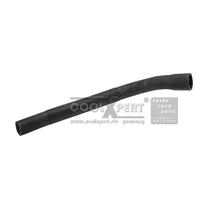 17127515989 BMW