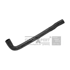 17121475561 BMW