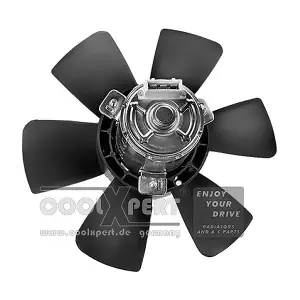 002-60-00156 BBR Automotive