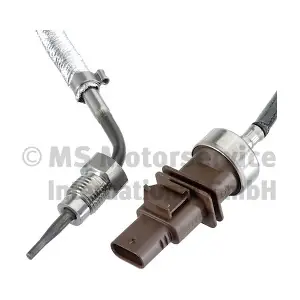 7.11020.31.0 PIERBURG