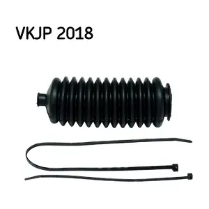 VKJP2018 SKF