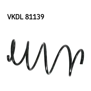VKDL 81139 SKF