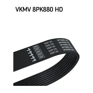 VKMV 8PK880 HD SKF