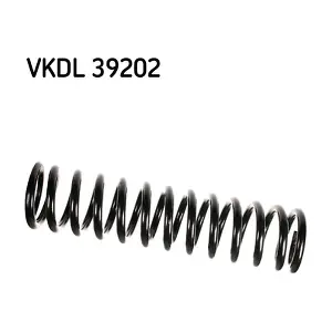VKDL 39202 SKF