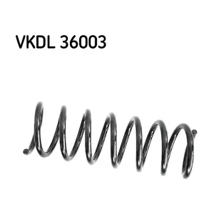 SKF VKDL 36003