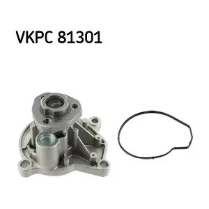 SKF VKPC81301