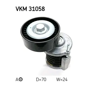SKF VKM31058