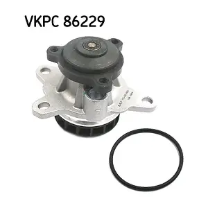 VKPC86229 SKF