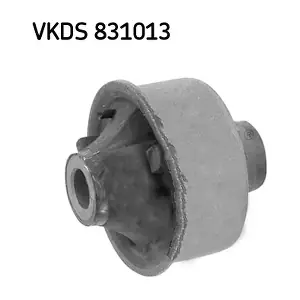 VKDS 831013 SKF