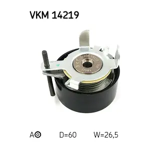 VKM 14219 SKF