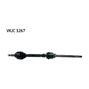 8200436848 SKF