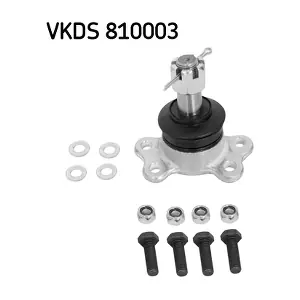 VKDS 810003 SKF