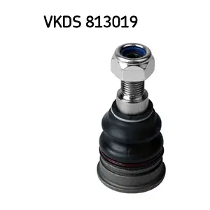 SKF VKDS813019