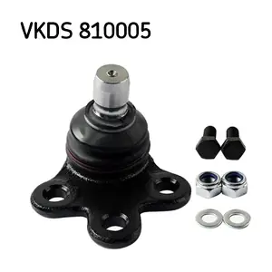 SKF VKDS 810005